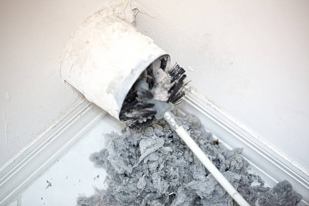 Best Air Duct Sanitizing Services  in Dry Ridge, OH